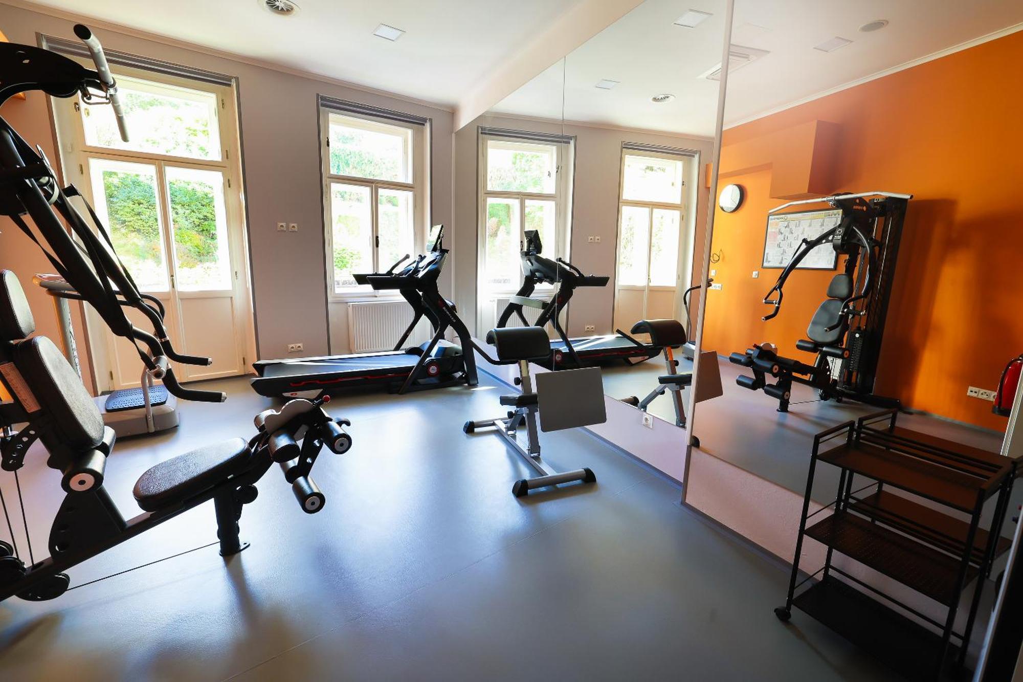 Boutique Hotel Ambiente ****+ Karlovy Vary Dış mekan fotoğraf